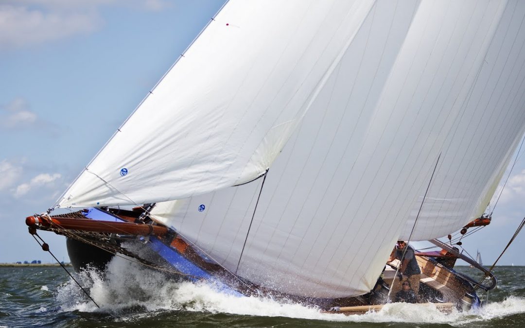 Buikschuiver 2